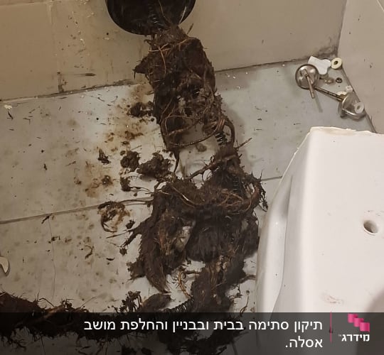 צינור ביוב פתוח עם שורשים סתומים